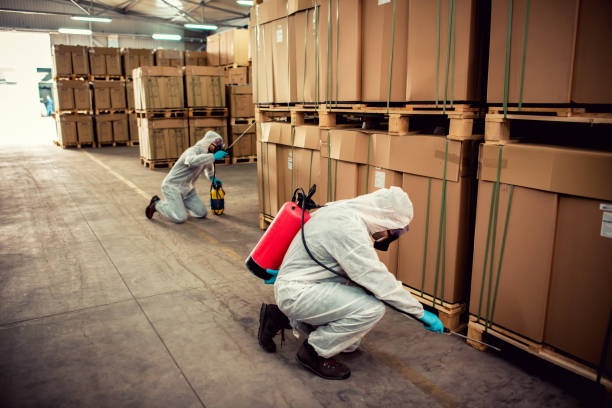 Best Emergency Pest Control  in Gray, LA