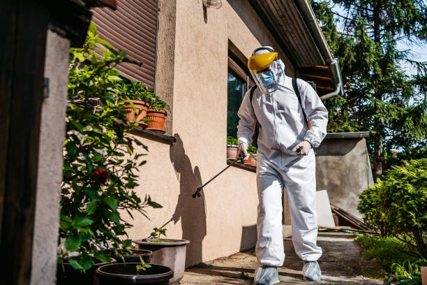 Best Bed Bug Extermination  in Gray, LA