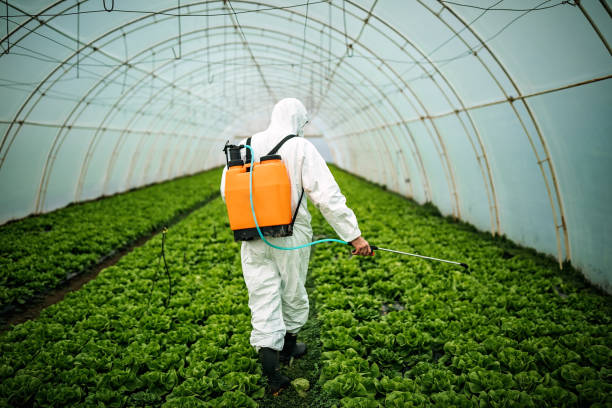 Best Emergency Pest Control  in Gray, LA