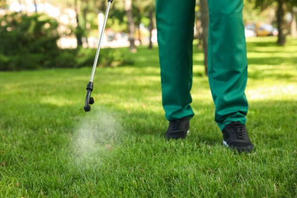 Best Affordable Exterminators  in Gray, LA